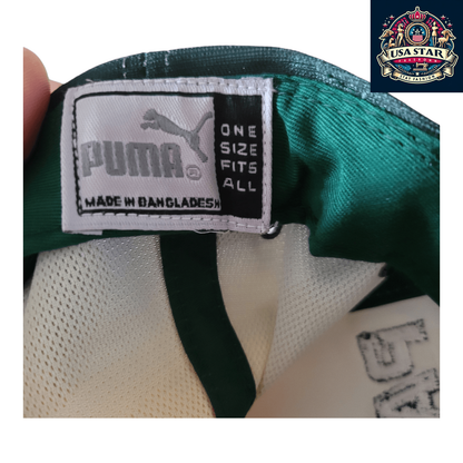 Green Bay Packers Hat - Gradient Design, Official NFL Cap by Puma Pro Line, One Size Fits Most - USASTARFASHION