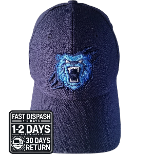 a blue hat with a bear head on it