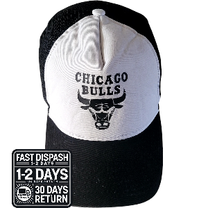 a chicago bulls hat with the chicago bulls logo on it