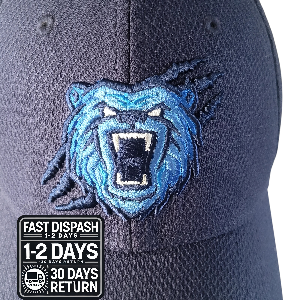 a blue hat with a bear head on it