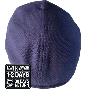 a purple baseball cap with the words fast dispatch on it