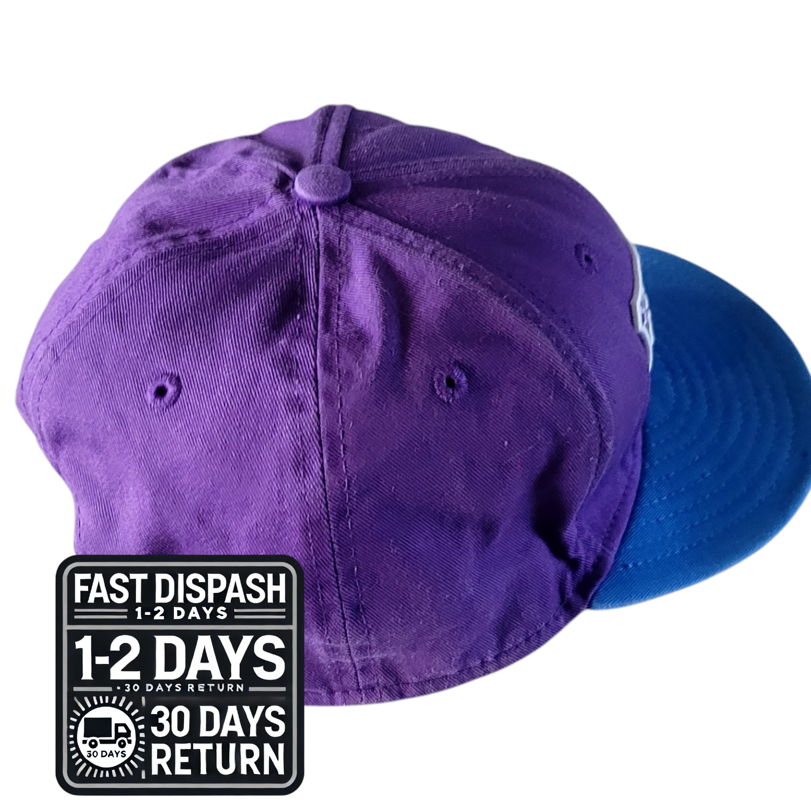 a purple and blue hat with the fast dish logo on it