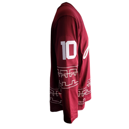 Arizona Coyotes Jersey - Fanatics Breakaway, Hasel #10, Men's Medium, Maroon - USASTARFASHION